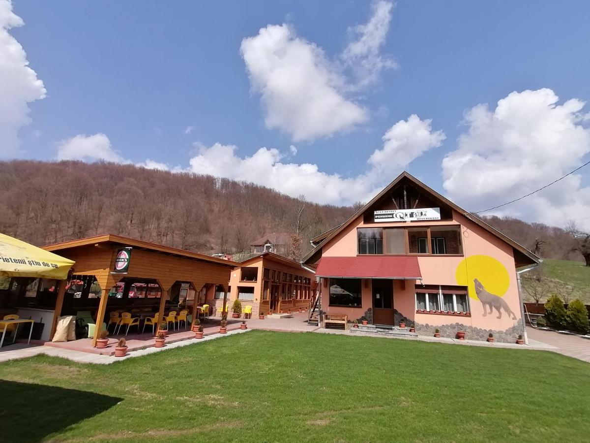 Pensiunea Colt Alb Băile Homorod Buitenkant foto