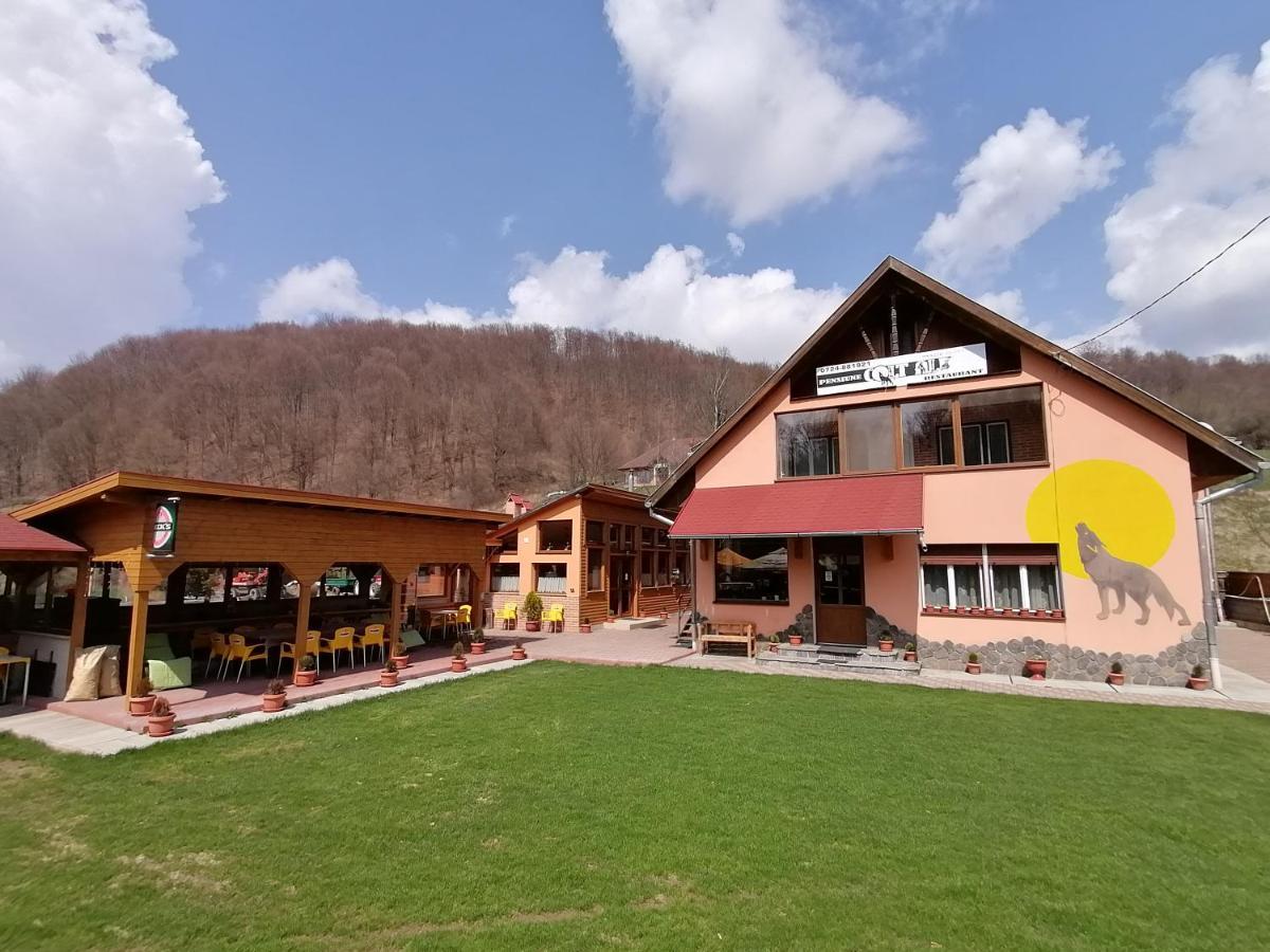 Pensiunea Colt Alb Băile Homorod Buitenkant foto